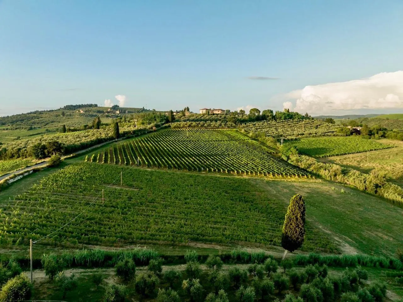 Vittoria Chianti Vacations Apartment Poggibonsi