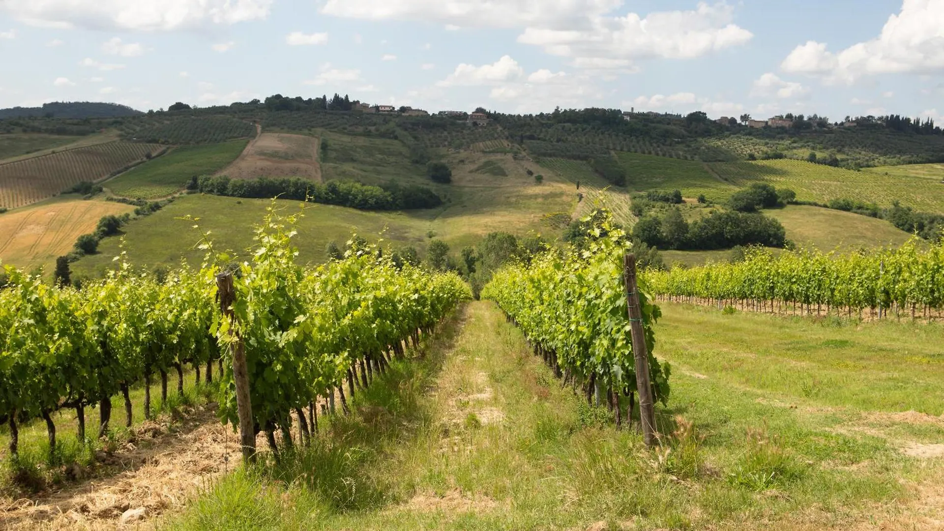 Vittoria Chianti Vacations Apartment Poggibonsi Italy